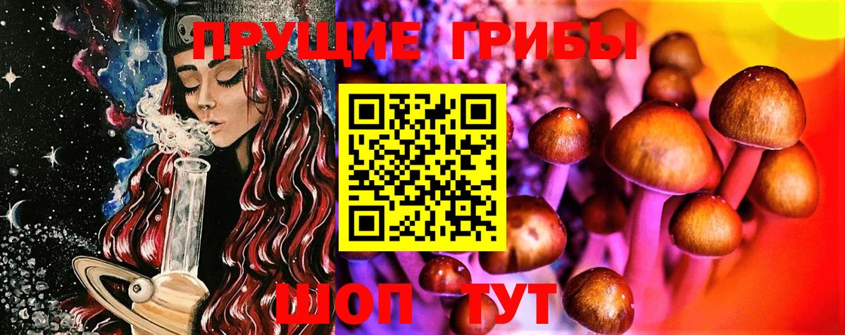 Заринск  Галлюциногенные грибы прущие грибы  Вход с VPN 